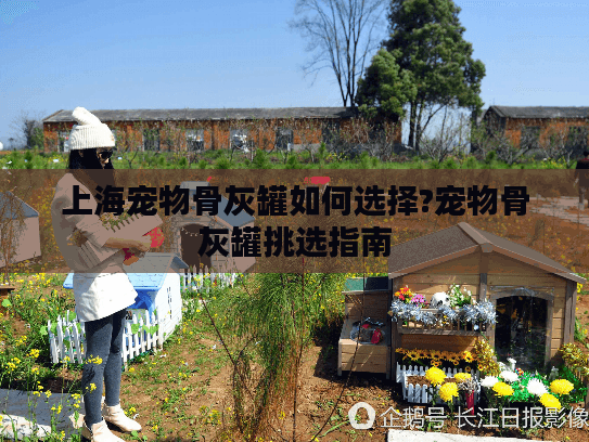 上海宠物骨灰罐如何选择?宠物骨灰罐挑选指南