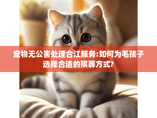 宠物无公害处理合江服务:如何为毛孩子选择合适的殡葬方式?