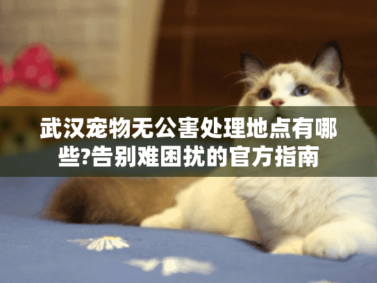 武汉宠物无公害处理地点有哪些?告别难困扰的官方指南