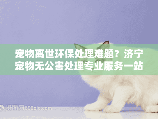 宠物离世环保处理难题？济宁宠物无公害处理专业服务一站式解决