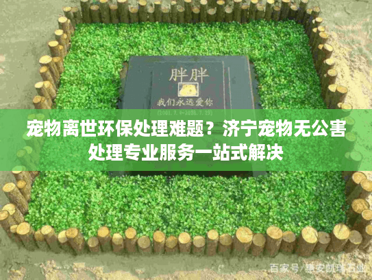 宠物离世环保处理难题？济宁宠物无公害处理专业服务一站式解决