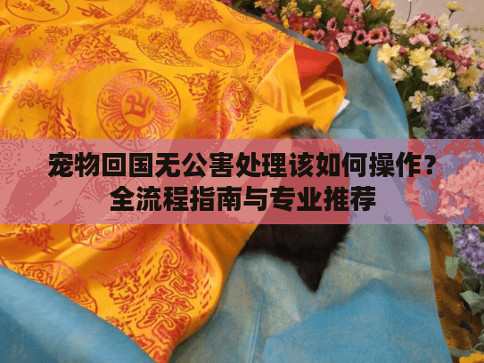 宠物回国无公害处理该如何操作？全流程指南与专业推荐