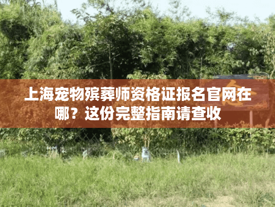 上海宠物殡葬师资格证报名官网在哪？这份完整指南请查收