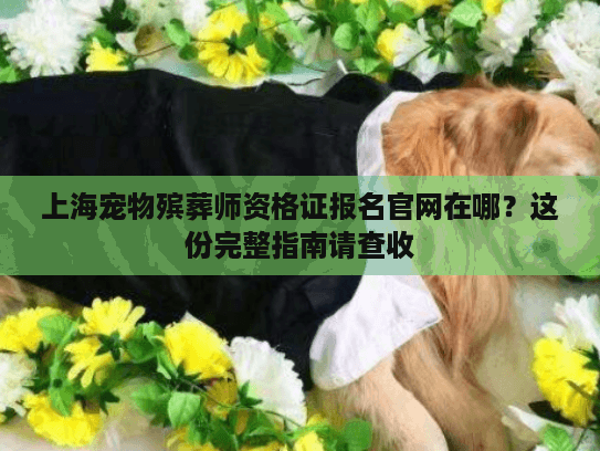 上海宠物殡葬师资格证报名官网在哪？这份完整指南请查收