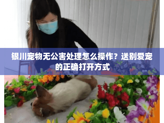 银川宠物无公害处理怎么操作？送别爱宠的正确打开方式