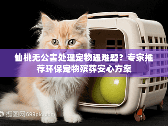 仙桃无公害处理宠物遇难题？专家推荐环保宠物殡葬安心方案