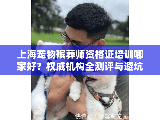 上海宠物殡葬师资格证培训哪家好？权威机构全测评与避坑指南