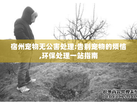 宿州宠物无公害处理:告别宠物的烦恼,环保处理一站指南