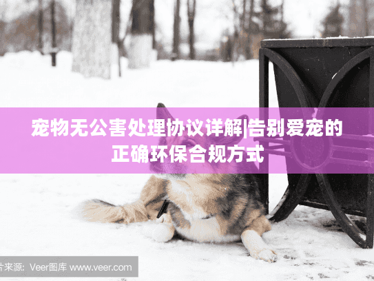 宠物无公害处理协议详解|告别爱宠的正确环保合规方式