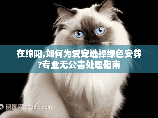 在绵阳,如何为爱宠选择绿色安葬?专业无公害处理指南