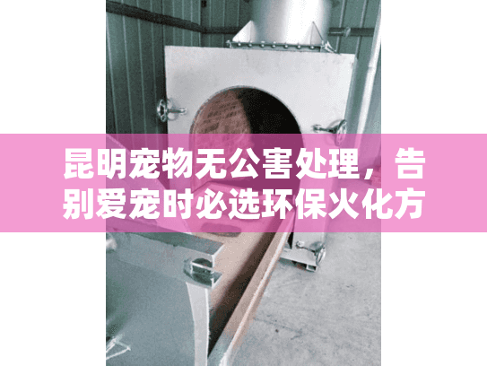 昆明宠物无公害处理，告别爱宠时必选环保火化方案