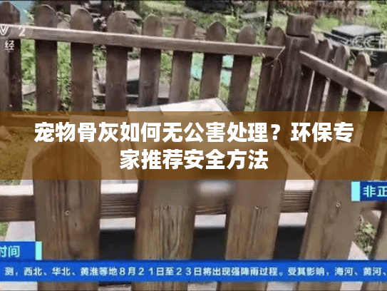 宠物骨灰如何无公害处理？环保专家推荐安全方法