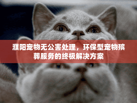 濮阳宠物无公害处理，环保型宠物殡葬服务的终极解决方案