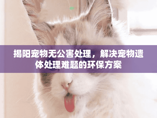 揭阳宠物无公害处理，解决宠物遗体处理难题的环保方案