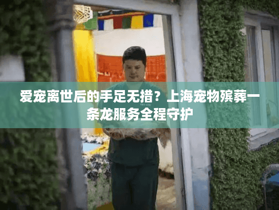 爱宠离世后的手足无措？上海宠物殡葬一条龙服务全程守护