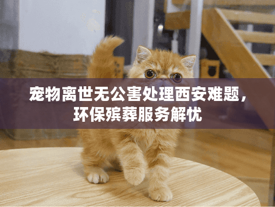 宠物离世无公害处理西安难题，环保殡葬服务解忧