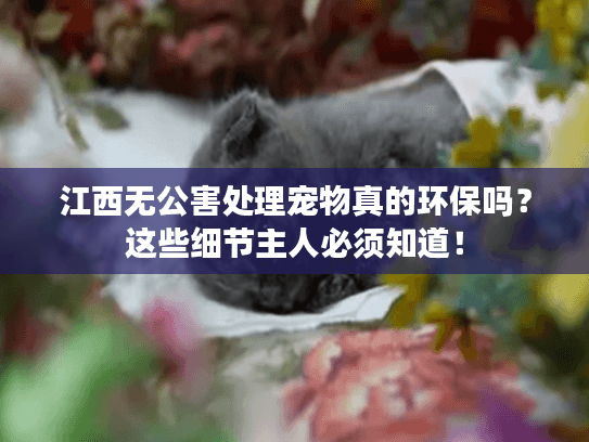 江西无公害处理宠物真的环保吗？这些细节主人必须知道！