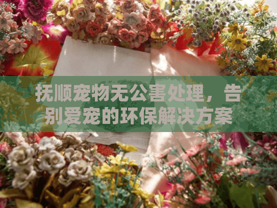 抚顺宠物无公害处理，告别爱宠的环保解决方案