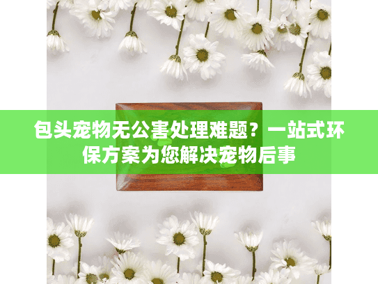 包头宠物无公害处理难题？一站式环保方案为您解决宠物后事