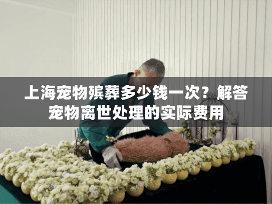 上海宠物殡葬多少钱一次？解答宠物离世处理的实际费用