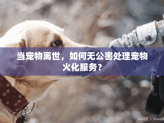 当宠物离世，如何无公害处理宠物火化服务？
