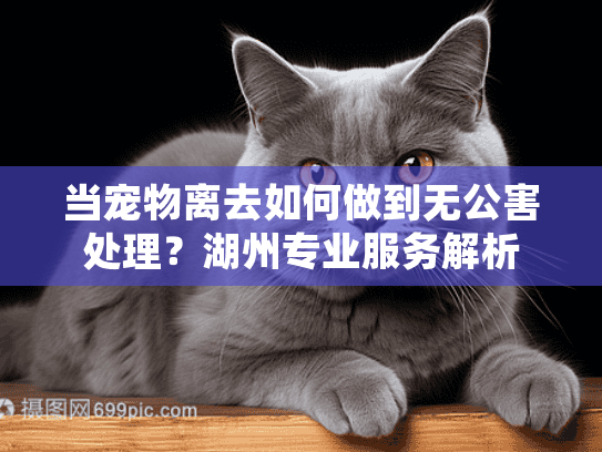 当宠物离去如何做到无公害处理？湖州专业服务解析