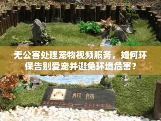 无公害处理宠物视频服务，如何环保告别爱宠并避免环境危害？
