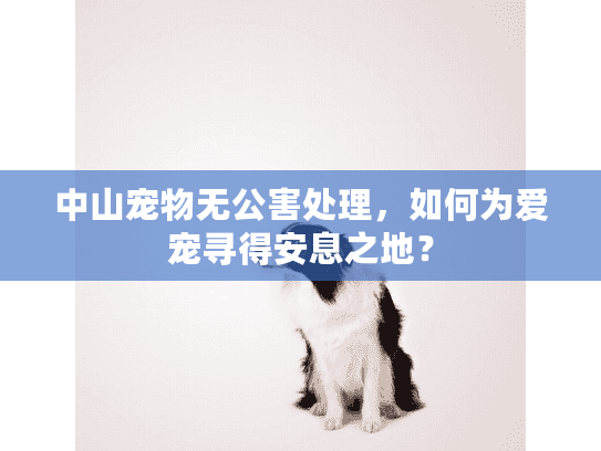 中山宠物无公害处理，如何为爱宠寻得安息之地？