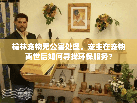 榆林宠物无公害处理，宠主在宠物离世后如何寻找环保服务？