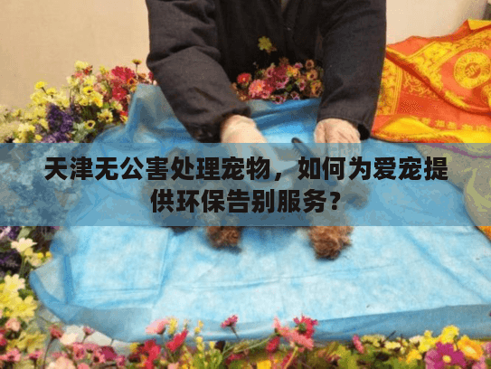 天津无公害处理宠物，如何为爱宠提供环保告别服务？