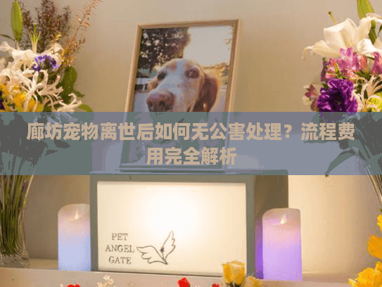 廊坊宠物离世后如何无公害处理？流程费用完全解析