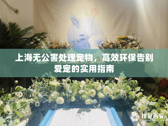 上海无公害处理宠物，高效环保告别爱宠的实用指南