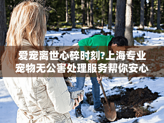爱宠离世心碎时刻?上海专业宠物无公害处理服务帮你安心送别