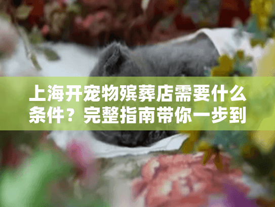 上海开宠物殡葬店需要什么条件？完整指南带你一步到位
