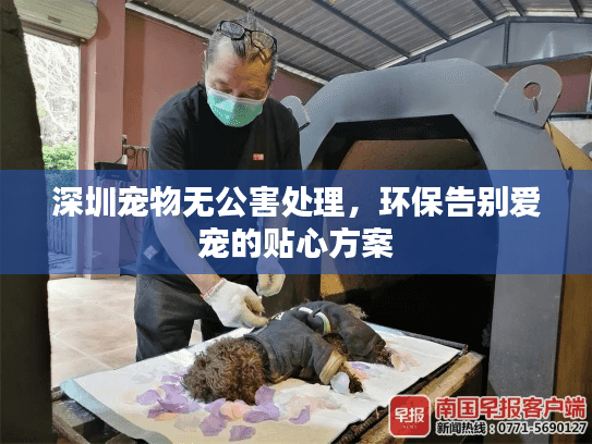 深圳宠物无公害处理，环保告别爱宠的贴心方案