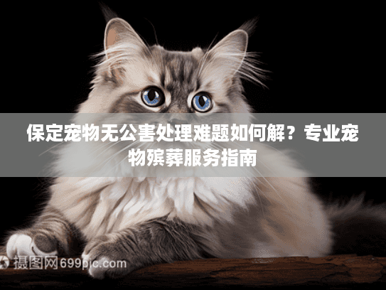 保定宠物无公害处理难题如何解？专业宠物殡葬服务指南
