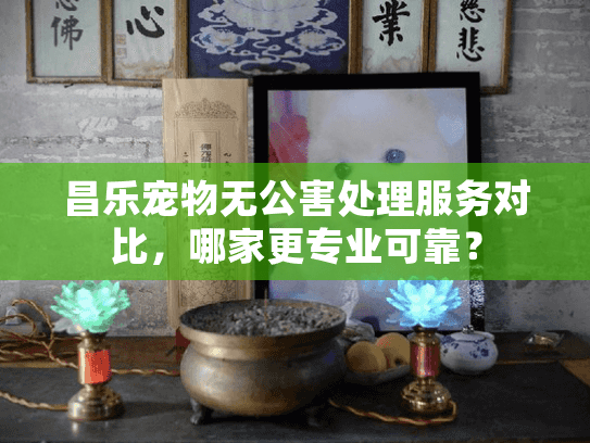 昌乐宠物无公害处理服务对比，哪家更专业可靠？