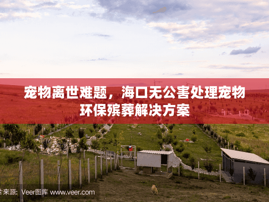 宠物离世难题，海口无公害处理宠物环保殡葬解决方案