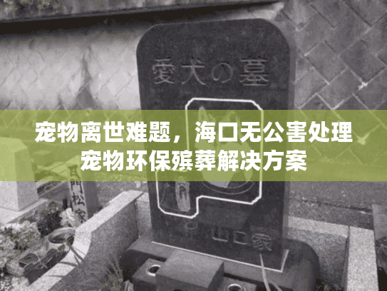 宠物离世难题，海口无公害处理宠物环保殡葬解决方案