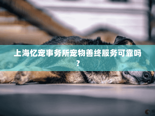 上海忆宠事务所宠物善终服务可靠吗？
