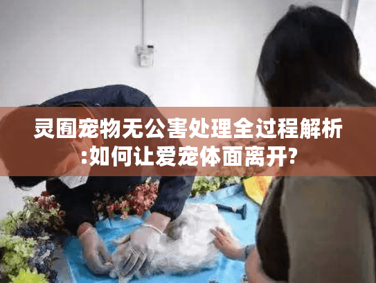 灵囿宠物无公害处理全过程解析:如何让爱宠体面离开?