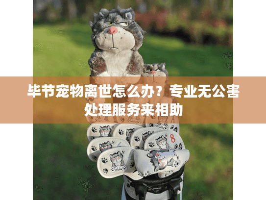 毕节宠物离世怎么办？专业无公害处理服务来相助