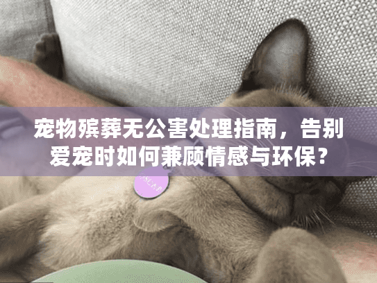 宠物殡葬无公害处理指南，告别爱宠时如何兼顾情感与环保？