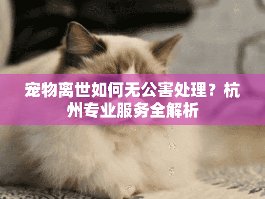 宠物离世如何无公害处理？杭州专业服务全解析