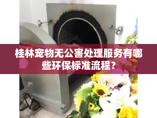 桂林宠物无公害处理服务有哪些环保标准流程？