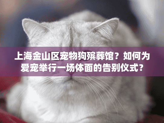 上海金山区宠物狗殡葬馆？如何为爱宠举行一场体面的告别仪式？