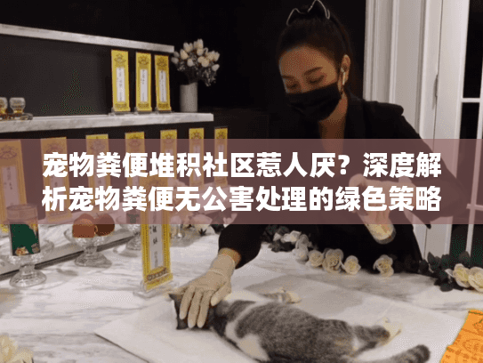 宠物粪便堆积社区惹人厌?深度解析宠物粪便无公害处理的绿色策略 宠物粪便堆积社区惹人厌?深度解析宠物粪便无公害处理的绿色策略
