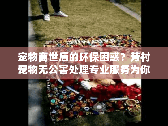 宠物离世后的环保困惑？芳村宠物无公害处理专业服务为你解忧
