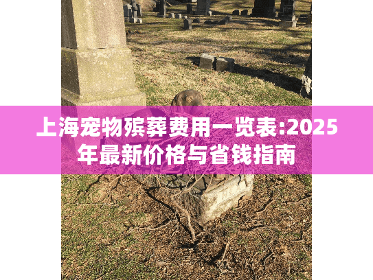 上海宠物殡葬费用一览表:2025年最新价格与省钱指南