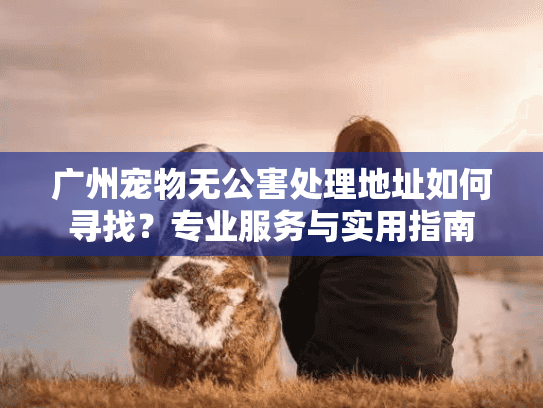 广州宠物无公害处理地址如何寻找?专业服务与实用指南 广州宠物无公害处理地址如何寻找?专业服务与实用指南